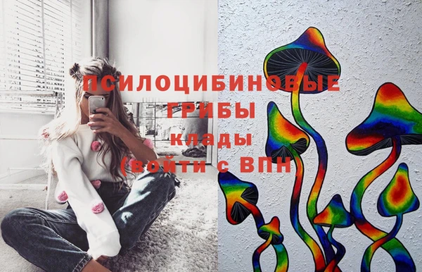 мдпв Навашино