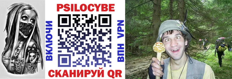 купить наркотик  Куса  Галлюциногенные грибы Psilocybine cubensis 